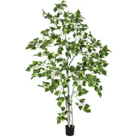Europalms Birkenbaum, 180cm