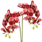 2pcs Faux Orchidee, Orchideen künstliche Blumen 27,6 Zoll realistische künstliche Orchideen mit geringer Dekoration von Wartungsstätten für Vase Wedding Party Home Gartendekoration für Vase Hochzeits