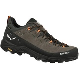 Salewa ALP Trainer 2 GTX M 7953 Bungee cord/black