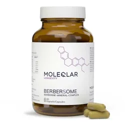 Moleqlar Berberine Mineral-Complex Kapseln