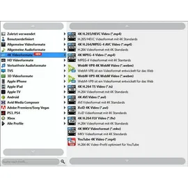 Aiseesoft 4K Converter