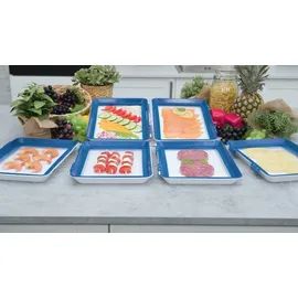 Livington Flex & Fresh Frischhalteplatten 2er-Set - Aufschnittbox Kühlschrank