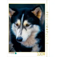 Calvendo EIN Motiv aus dem Kalender Huskies - Artwork