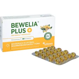 Bewelia Plus Mizell Weihrauch Kapseln 60 St.