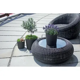 Prosperplast Rato Round Ø 20 x 19 cm Anthrazit