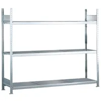 Schulte Lagertechnik Weitspannregal Stahl 250 x 200 x 50 cm silber