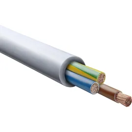 Lapp ÖLFLEX® CLASSIC 100 450/750V 5G10 00101103