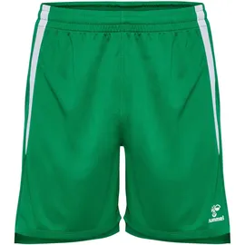 hummel hmlLEAD 2.0 Shorts Herren 6235 jelly bean XL