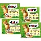 Kitekat Geflügel-Allerlei in Gelee 48 x 85 g