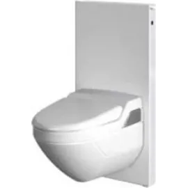 Geberit Monolith für Wand-WC 101 cm Glas Mint