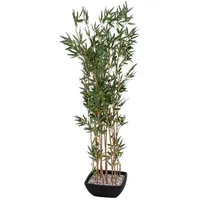 Europalms Zierbambus in Dekoschale, 150cm