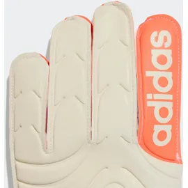 adidas Copa Club Off White/Lucid Blue/Signal Coral 8