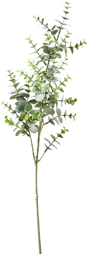 Eucalyptus Zweig 90cm grün