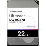 Western Digital Ultrastar DC HC570 - 22TB