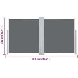 vidaXL Ausziehbare Seitenmarkise Anthrazit 100 x 600 cm