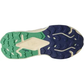 The North Face Altamesa 500 V2 Herren TNF Blue/Dimmed Algae 44