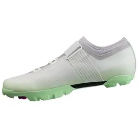 FIZIK Ferox 2 Carbon Mint Green 46