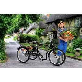 Sachsenrad T3A Trio Edition 2025 26 Zoll RH 50 cm Damen schwarz