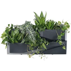 Prosperplast Vertikales Pflanzgefäße-Set für Kräuter und Blumen, länglich, IO3W800