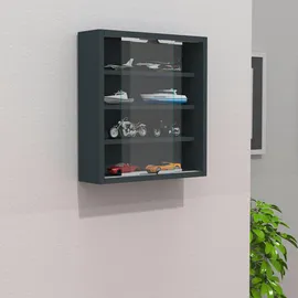 VCM Agisa S