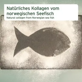 AniForte Kollagen Pulver 450 g