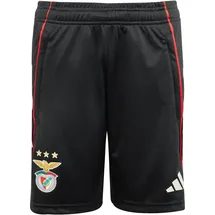 adidas Benfica Trainingsshorts 2025/26 Kinder Schwarz Gr. 164