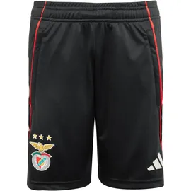 adidas Benfica Trainingsshorts 2025/26 Kinder Schwarz Gr. 164