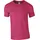 Softstyle T-Shirt heliconia L