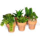 Creativ green Künstliche Zimmerpflanze »Mini-Sukkulenten«, grün