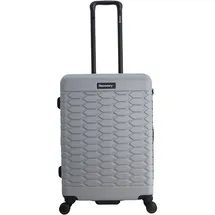 DISCOVERY Koffer REPTILE silber