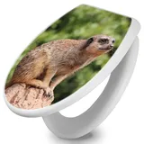 Banjado Toilettendeckel Mit Absenkautomatik WC-Sitz Soft Close Weiß Hygienischer Duroplast Leichte Montage Mit Motiv Sitzendes Erdmännchen