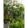Luxform Solarleuchte schwarz B:9 cm H:5,6 cm L:9 cm 1er Set