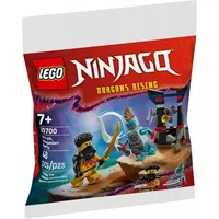 LEGO Ninjago Arins Duell mit dem Drachenmenschen 30700