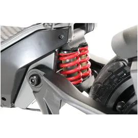 Trittbrett Fritz 2024 schwarz