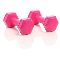 LUXTRI Hantel Set 2x 500g pink Kurzhantel 2er Set mit rutschfesten Griffen für Krafttraining