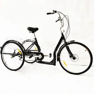 NadineDutol 26 Zoll Erwachsene 6 Geschwindigkeit faltbar Dreirad Cruiser Dreirad Cargo Dreirad verstellbaren Sitz mit Einkaufskorb für Frauen, Männer, Einkaufen, Sport, Freizeit.