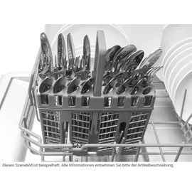 Amica EGSPU 500 911 E Einbau-Geschirrspüler (unterbaufähig, 448 mm breit, Edelstahl)