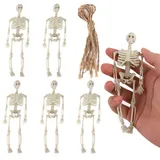 NQEUEPN 6 Stück Mini-Skelett-Figuren für Dekoration, 14 cm Realistisch Halloween-Skelett Lustig Mini-Skelett-Modell Spukhaus-Requisiten für Halloween Motto-Partygeschenke