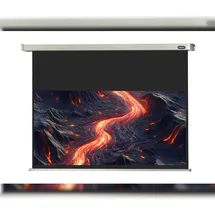 Celexon Motor Professional 220x124 16:9