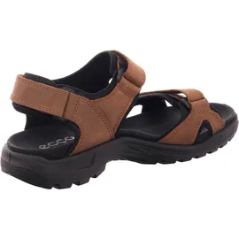 ECCO Onroads Herren cocoa brown/black 42
