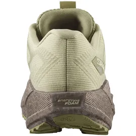 Salomon Aero Blaze 3 Damen Grün Haze / Iron / Ice Flow 38,5