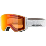 Alpina Skibrille