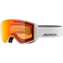 Alpina Skibrille