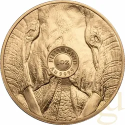 1 Unze Goldmünze Südafrika Big Five Elefant 2025