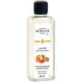 Maison Berger Paris 115007 Nachfüllartikel für Aroma-Diffusoren Flasche