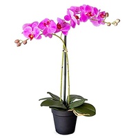 HTT Decorations - künstliche Orchidee - Orchidee - in rosa - 53-2 Zweige - im Topf - Deko - Zimmerpflanze