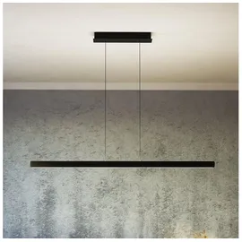 EGLO CIGGIANO 1-flg. 150 cm rund schwarz