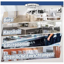 Lorito Allzweckreiniger frisch & sauber 1 l