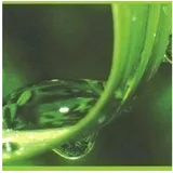 A.S. Creations As Creation Tapeten Only Borders 9 905611