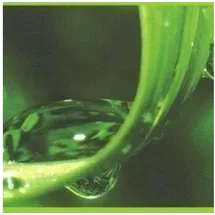 A.S. Creations As Creation Tapeten Only Borders 9 905611